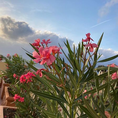 Апартаменты La Terrazza Di Re Скарлино Экстерьер фото